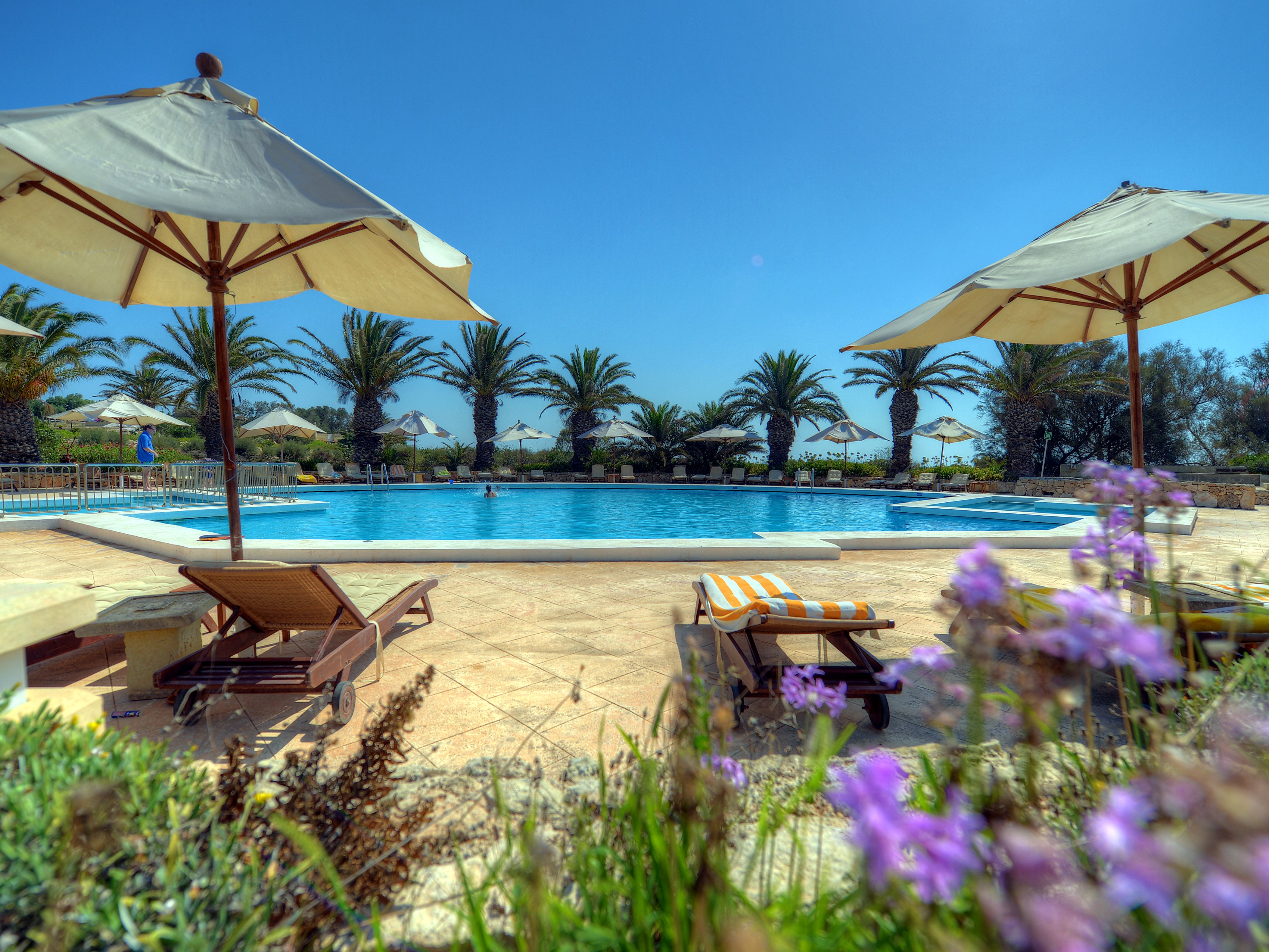 Piscina all’aperto circondata da lettini, ombrelloni e palme all’hotel Ta’ Ċenċ & Spa a Gozo