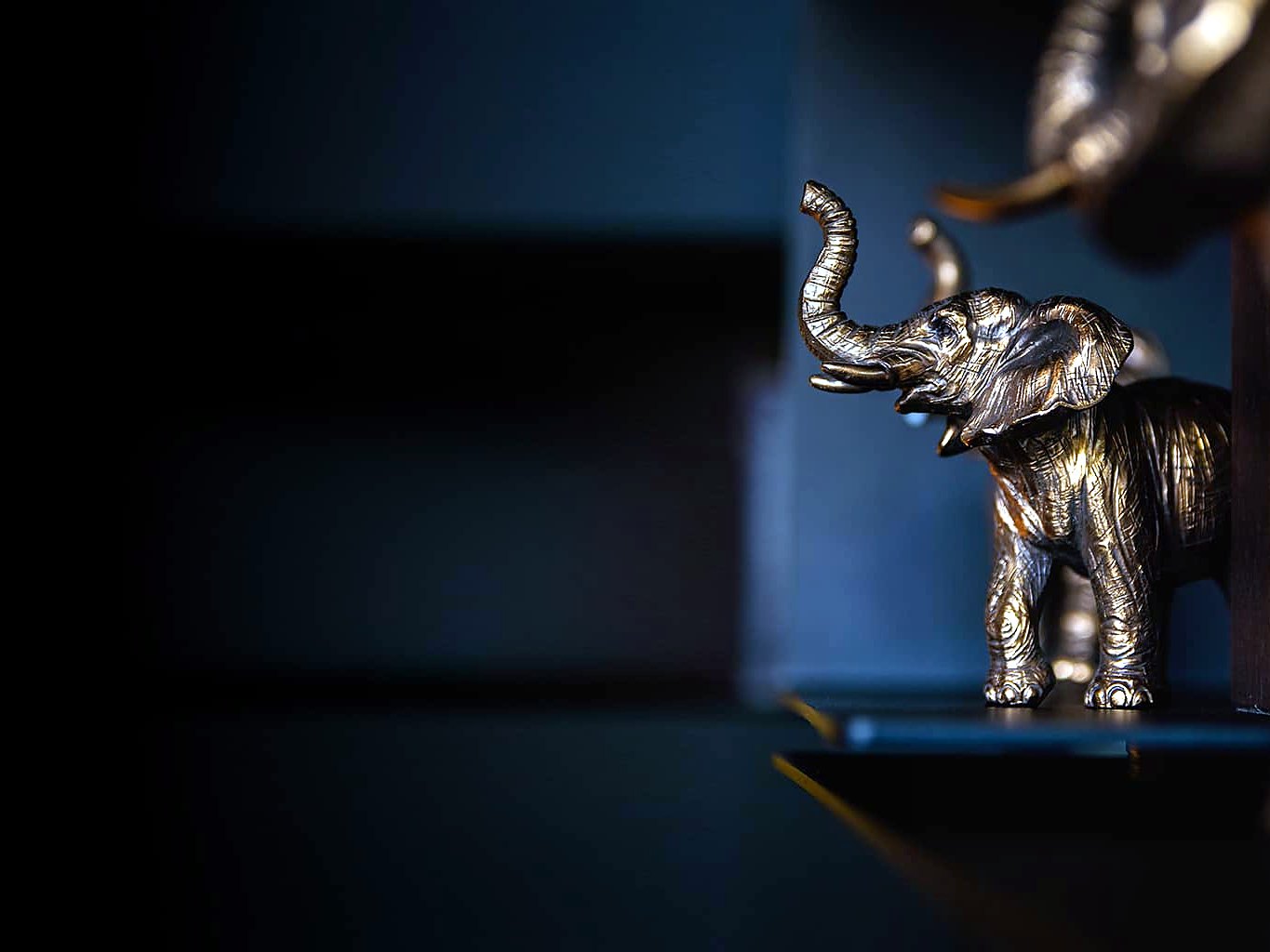 Statuetta dorata di elefante su fondo scuro, dettaglio dell’arredamento dell’Hugo’s Boutique Hotel