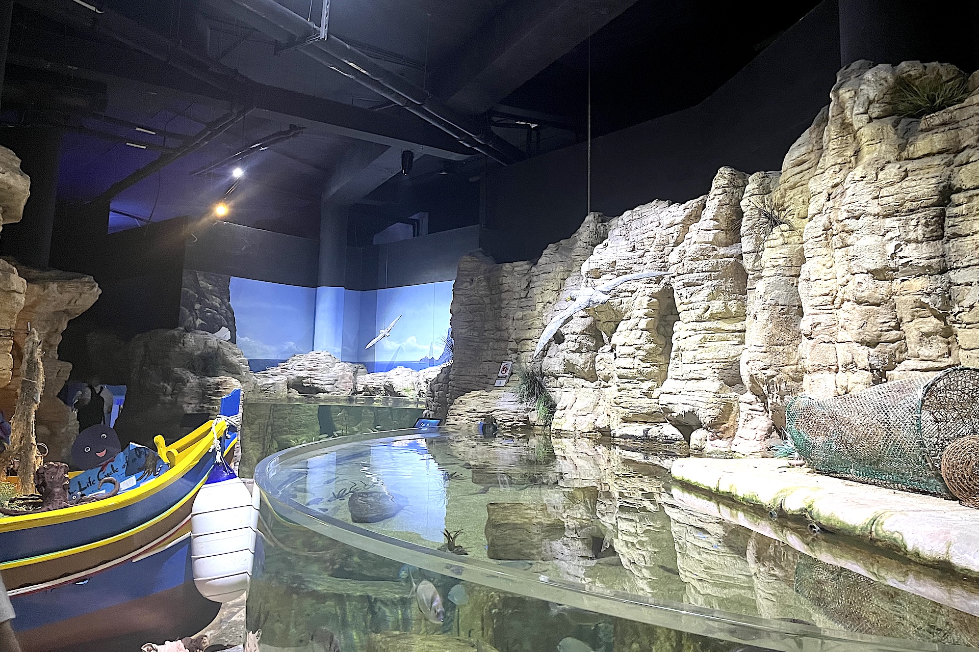 Barco de pesca maltês luzzu colorido junto a um tanque de toque rodeado de rochas no aquário de Malta