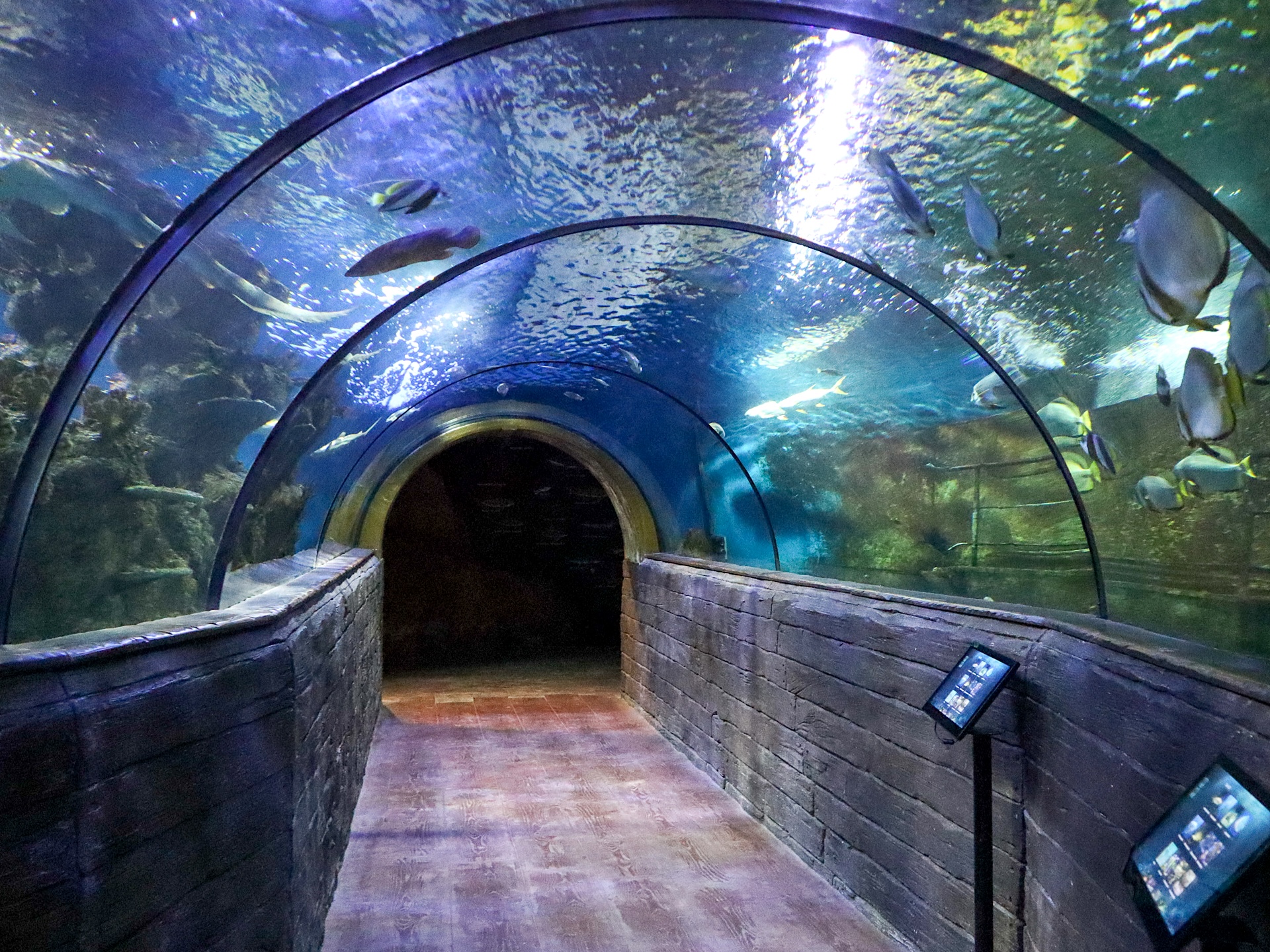 Galeria de vidro do aquário de Malta