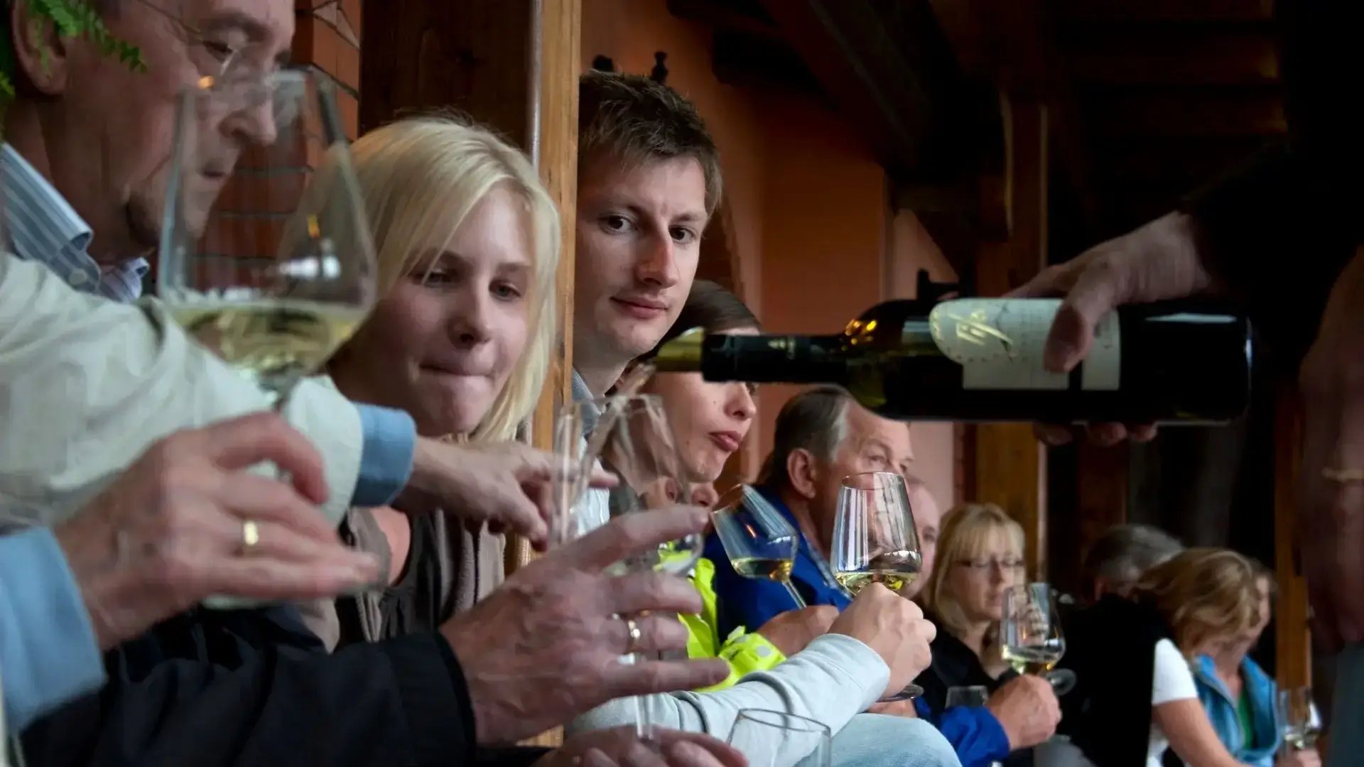 Dégustation de vins en Sicile Dégustation de vin blanc dans une cave sicilienne