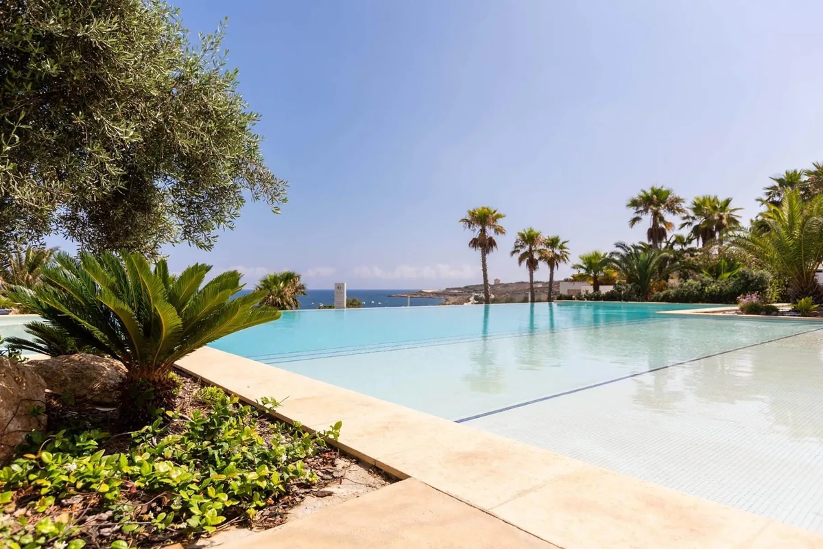 Piscina esterna con palme “ Salini Resort Malta Piscina del Salini Resort Malta con palme