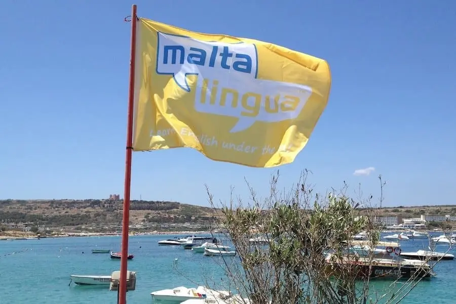 Флаг школы Maltalingua Мальта