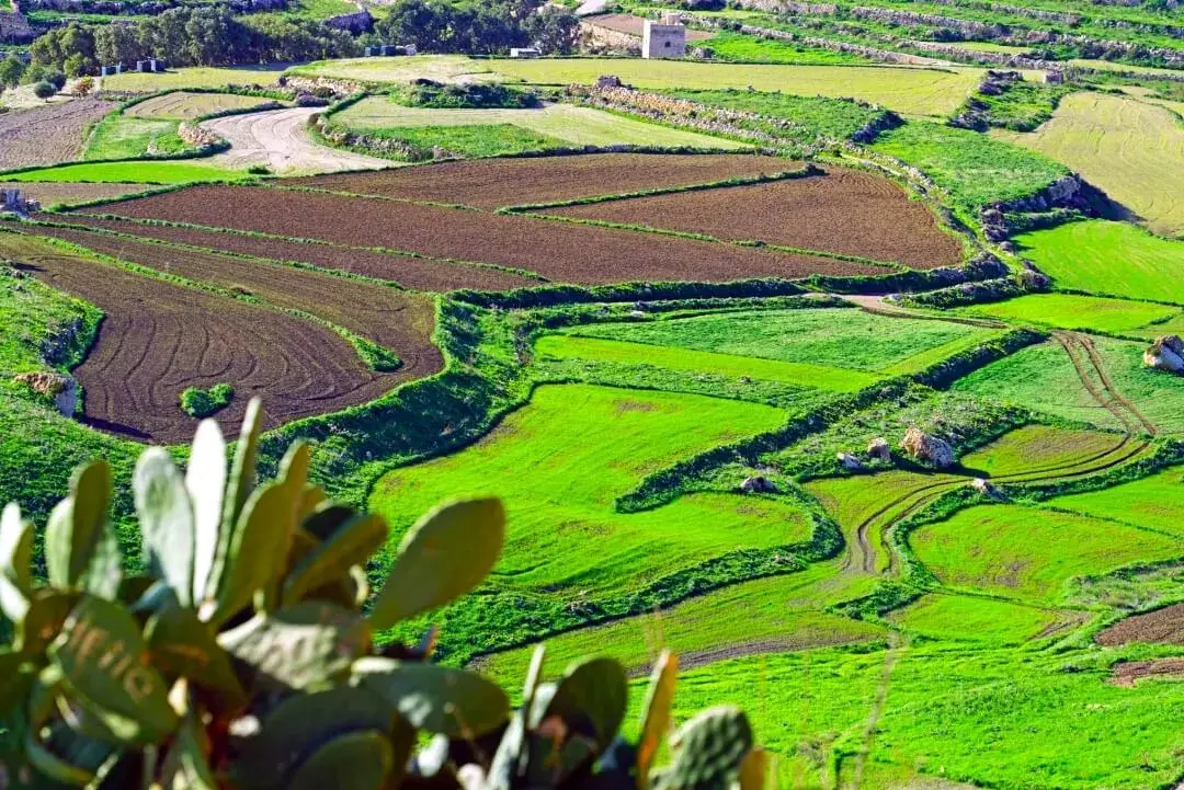 Valle verde Gozo