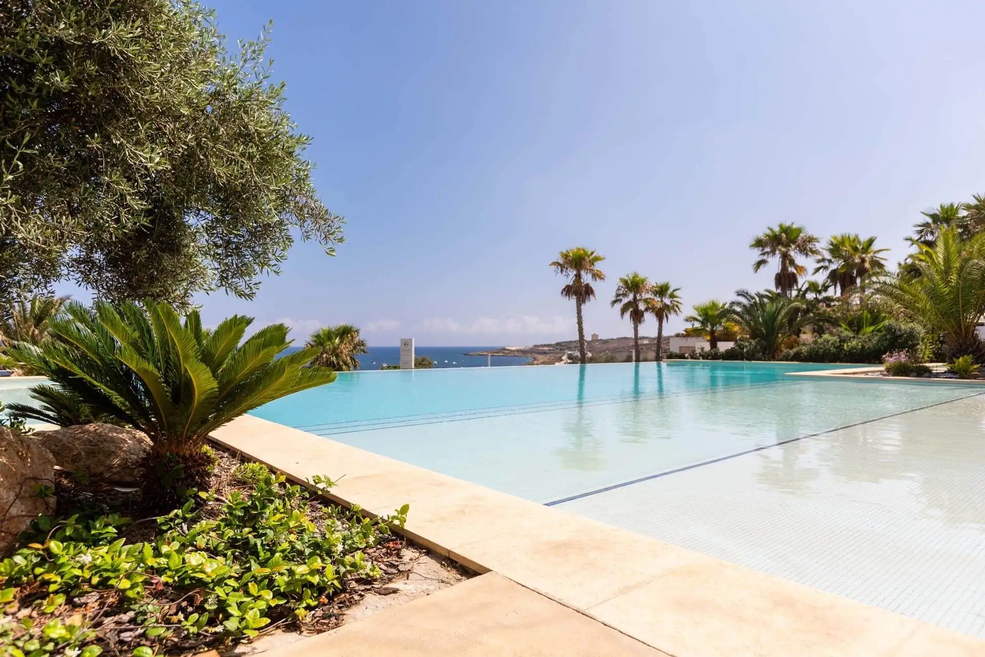 Salini Resort Malta pool with palm trees