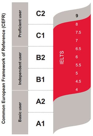 graphique circulaire des Niveaux d'anglais