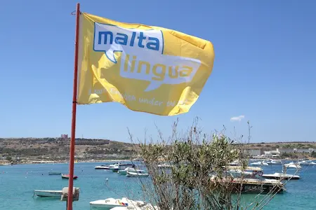 English school Maltalingua Maltalingua English school in Saint Julian's in Malta
