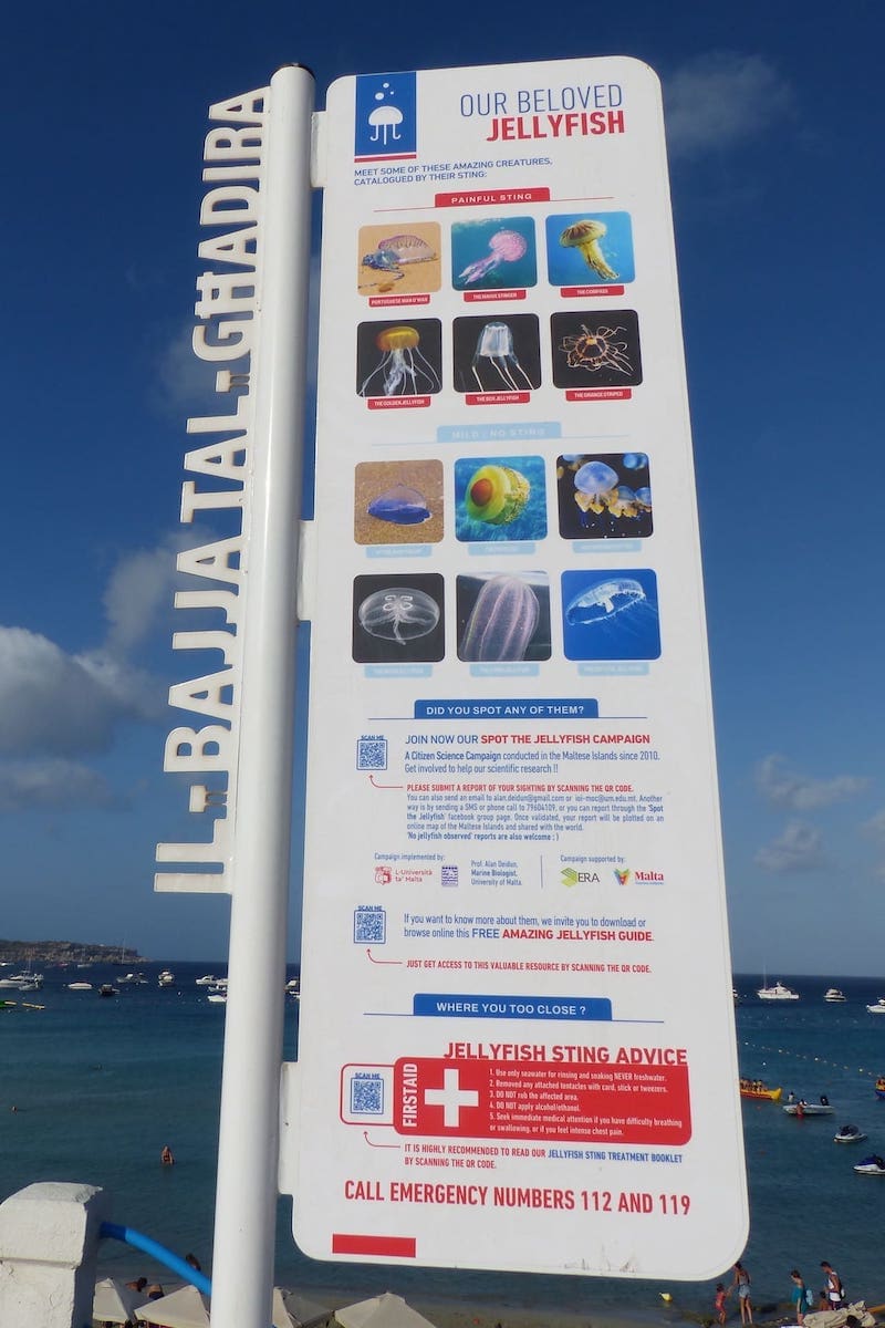 Panel informativo sobre las medusas en Malta